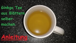 Ginkgo Tee selber machen und zubereiten – Anleitung [upl. by Aneem]