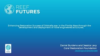 Enhancing Restoration Success of Orbicella spp in the Florida Keys [upl. by Nnanaej]