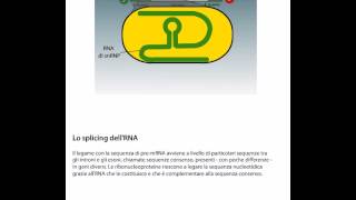 Lo splicing del RNA [upl. by Aratahc]