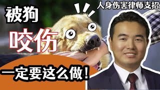 【人身伤害】春季来临，被狗咬伤该怎么办？人身伤害律师给你支招  索赔  就医  宠物攻击 [upl. by Catarina]