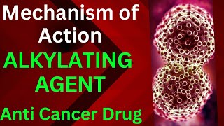 Alkylating Agent Mechanism of drug action  Anti Cancer drug  Pharmacology [upl. by Avis]