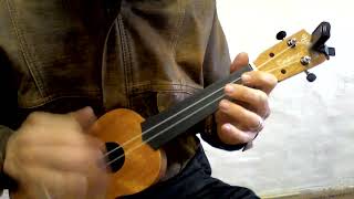 2 string fretless ukulele demo Gospel violin tuning [upl. by Akinajnat]