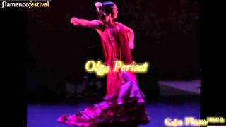 Flamenco Festival 2012 Promo [upl. by Franny428]