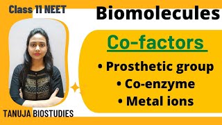 Biomolecules  Cofactors  Prosthetic group  Coenzyme  Metal ions  Class 11 biologyNEETAIIMS [upl. by Bilat]