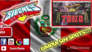 Lagrimas De Amor  Cumbia Peruana LIMPIA Los Yungas [upl. by Arol174]