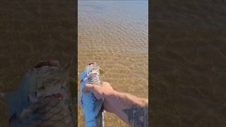 CAUGHT SEA MULLET BY HAND fishing MULLET byhand fishfast SEA AIR land survival o [upl. by Aneek]