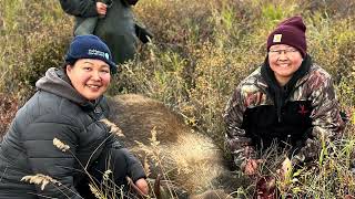 Moose hunting above 3 step Kwethluk river 2024 [upl. by Meter]