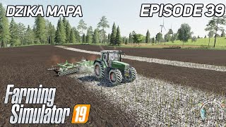 Cultivation amp liming of Large Field  FS19  Farming Simulator 19  Timelapse  Dzika Mapa 39 [upl. by Erreipnaej]