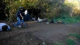 Teddington lock jumps [upl. by Nichol384]