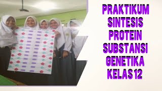 Praktikum Sintesis Protein Bab Substansi genetika [upl. by Seuqcaj136]