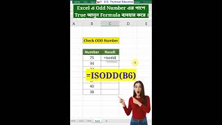 Excel এ Odd Number এর পাশে True আনুন Formula ব্যবহার করে । odd isodd isoddformula number status [upl. by Ilona503]