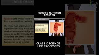 HOLOZOIC NUTRITION EGESTION viral biology [upl. by Kenley]