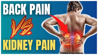 Kidney Pain vs Back Pain Why Kidneys Hurt [upl. by Yablon]