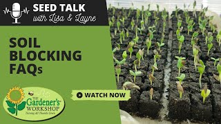 Seed Talk 74  Soil Blocking FAQs [upl. by Briny]