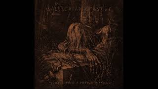 Wallachian Cobwebs  Night Sobbed a Potion Diseased Dark Ambient  Full Album [upl. by Conyers]