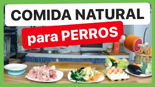 COMIDA para PERROS 🍖 FÁCIL NATURAL y ECONÓMICA ✅ ► DIETA BARF [upl. by Micky828]