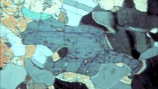 Optical Mineralogy hornblende inclined extinction plagioclase [upl. by Cusick]