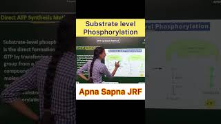 Substrate level Phosphorylation [upl. by Yhtrod]