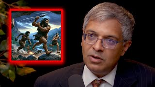 Jay Bhattacharya on Primal Fear [upl. by Ahsein]