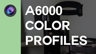 SONY A6000 CINEMATIC FLAT COLOR GRADING PREP [upl. by Pacorro]