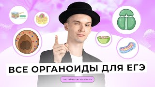 ОРГАНОИДЫ СТРОЕНИЕ ФУНКЦИИ  ЕГЭ ПО БИОЛОГИИ  НОО [upl. by Eybba]