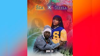 Sza x Sizzla Sza  Snooze x Sizzla  Give me a try Karda Tay Mashup [upl. by Marquet376]