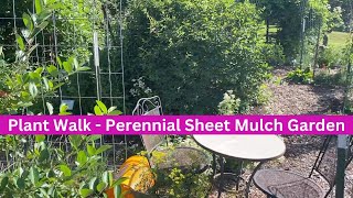 Plant Walk  Perennial Sheet Mulch Garden [upl. by Ennovahc343]