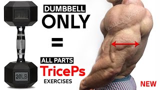 TRICEPS Exercises WITH DUMBBELLS AT HOME AND GYM [upl. by Paradies]