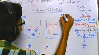 Complement fixation test [upl. by Porter]