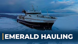 Emerald Hauling and Setting Triple Trawls  Fishing For Prawns In The Barents Sea [upl. by Yvor]