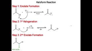 Lec7  Halogenation of the Alpha Carbon amp the Haloform Reaction [upl. by Nnylyam]