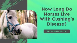 How Long Do Horses Live With Cushing’s Disease [upl. by Jerrilee166]