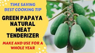 Best Natural Meat Tenderizer  How to make amp store Papaya Paste for a year  Secret Papaya Hack [upl. by Godfry]