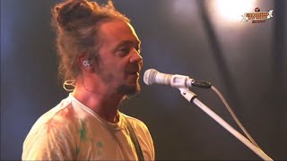 Soja  Live at Encontros das Tribos São Paulo Brasil 2022 Full Concert [upl. by Isis]