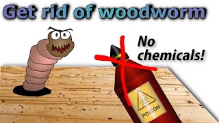 Get rid of woodworm for good no pesticides [upl. by Amary]