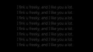 Die Antwoord  I Fink U Freeky Lyrics On Screen [upl. by Atiuqer]