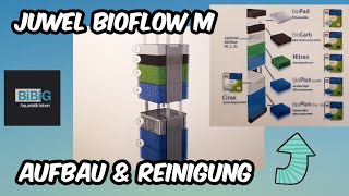 Juwel Bioflow Filter Ausbauen oder Nutzen Wie gut ist der Filter wirklich Praxistest 240 Liter Rio [upl. by Macmahon216]