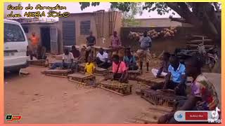 NÈBA SOLO une école de formation en Balafon 🧏🧏 [upl. by Suissac]