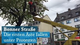 Bonner Straße in Köln Bäumfällung startet unter Protesten der Demonstranten [upl. by Yerffej244]