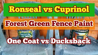 Ronseal One Coat Against Cuprinol Ducksback Comparing Forest Green Fence and Shed Paint [upl. by Landau810]