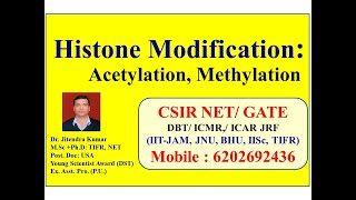 Histone Modification Acetylation Methylation Alters gene expression [upl. by Mil]