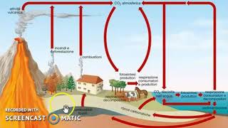 Il ciclo del carbonio [upl. by Bourque]