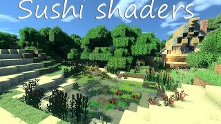 Review of Sushi shaders [upl. by Aliam]