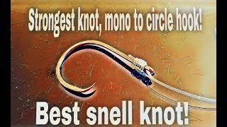 The best snell knot Snell knot for Circle hooks [upl. by Idolah620]