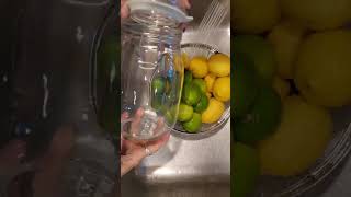 Lemons amp Limes Cleaning amp Storing [upl. by Eila]