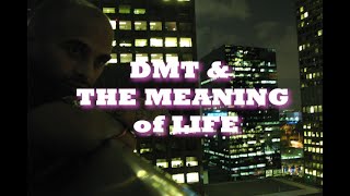 DMT amp The Meaning of Life [upl. by Eyma]