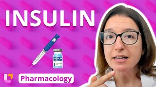 Insulin  Pharmacology  Endocrine System  LevelUpRN [upl. by Ellerey]