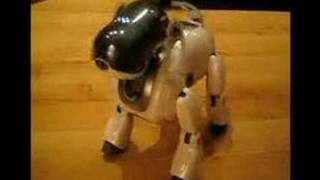 Sony Aibo Best Bits [upl. by Nichola]