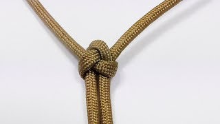 How You Can Tie A Triangle Lanyard Knot  WhyKnot [upl. by Ardnekahs642]