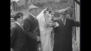 Mari Lwyd  Noswyl Nadolig  1964 [upl. by Mariejeanne]